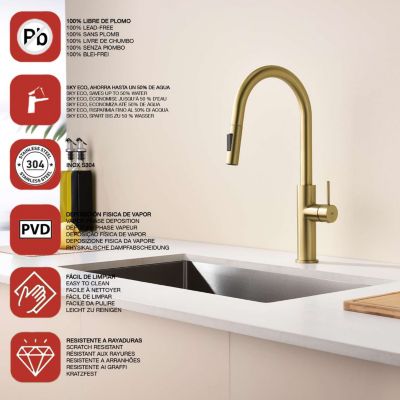 Mitigeur de cuisine bec haut avec douchette extractible SKY BATH or brossé PVD Inox S304 série RIVER