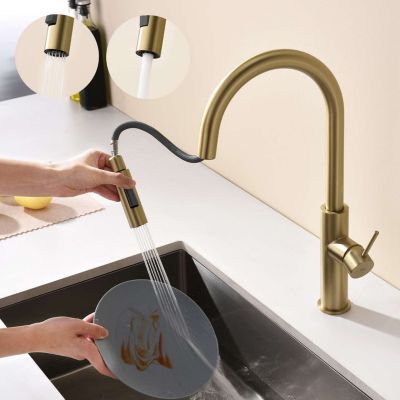 Mitigeur de cuisine bec haut avec douchette extractible SKY BATH or brossé PVD Inox S304 série RIVER