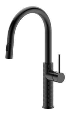 Mitigeur de cuisine noir avec douchette Essebagno Architek