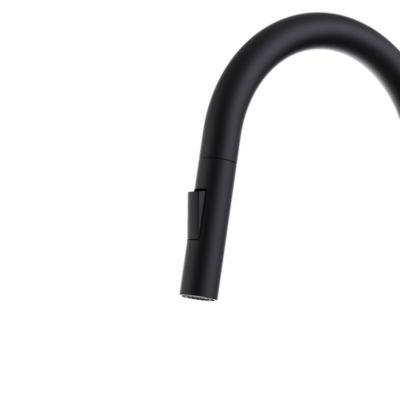 Mitigeur de cuisine noir avec douchette Essebagno Iconic