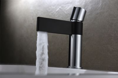 Mitigeur de lavabo chromé noir Edouard Rousseau Black steel