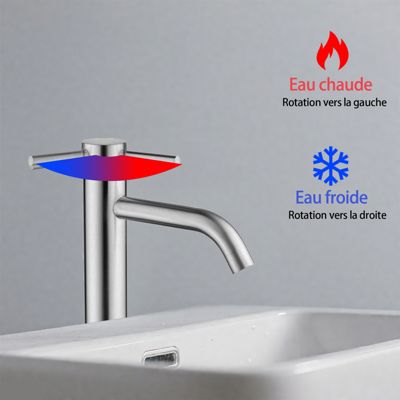 Mitigeur de lavabo haut, acier inoxydable 304 brossé argenté, mixte froid/chaud