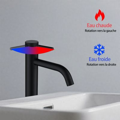 Mitigeur de lavabo haut, noir, monocommande, acier inoxydable, mixte froid/chaud