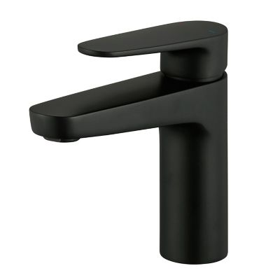 Mitigeur de lavabo noir taille M avec bonde clic-clac, GoodHome Cavally