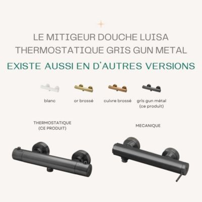 Mitigeur douche thermostatique gun métal Essebagno Luisa