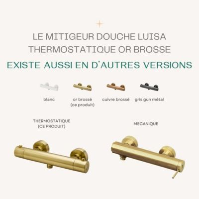 Mitigeur douche thermostatique Or brossé Essebagno Luisa