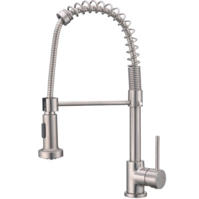 Robinet Mitigeur évier Ascott - Douchette Extractible - Finition Inox