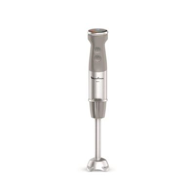 Mixeur plongeant 1000w gris Moulinex DD672B10