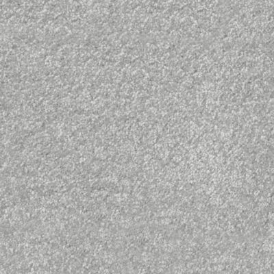 Moquette Chromaluxe - Gris argent - 5m x 13m