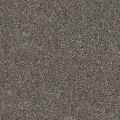Moquette Chromaluxe - Marron foncé - 5m x 21m