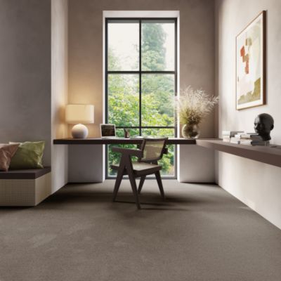 Moquette Chromaluxe - Marron foncé - 5m x 21m