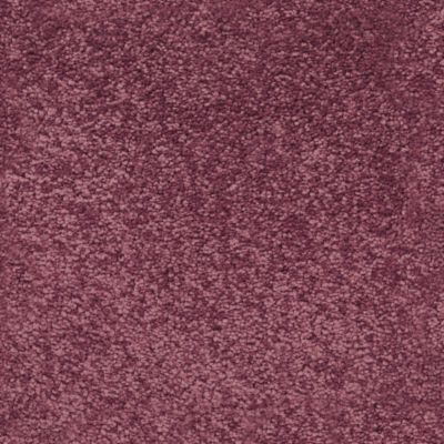 Moquette Chromaluxe - Rose boudoir - 4m x 14m