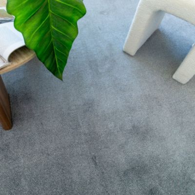 Moquette douce Pulse - Gris brume - 4m x 6m