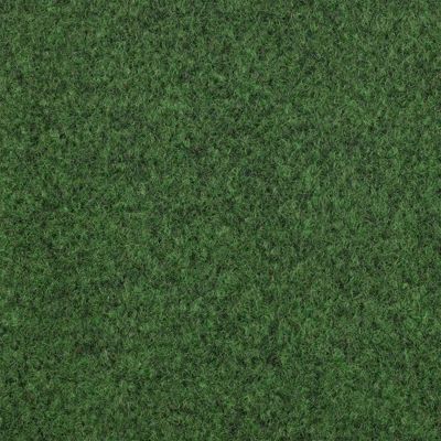 Moquette Extérieure Gazon Park Miraculeux, Vert 100 x 50 cm