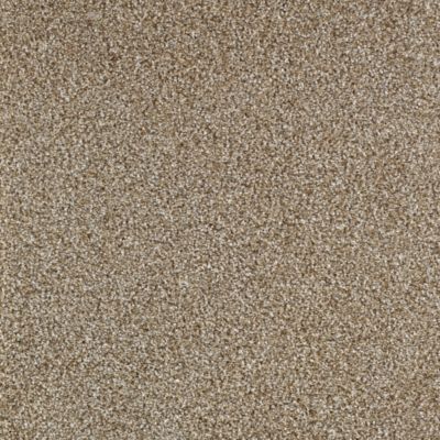 Moquette Feelings - Beige Patine - 4m x 3m