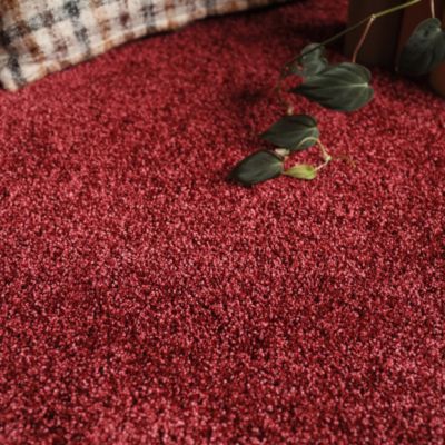 Moquette Feelings - Rouge Passion - 4m x 18m