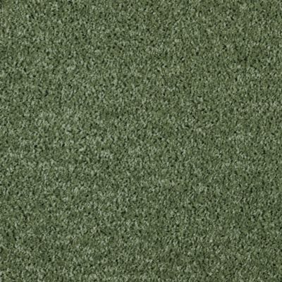 Moquette Lumicolor Vert kaki - 5m x 23m