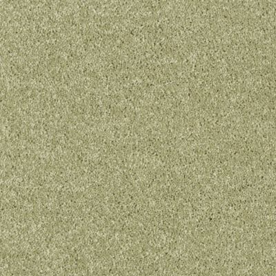 Moquette recyclée Re-cycle - Vert kaki - 5m x 4m
