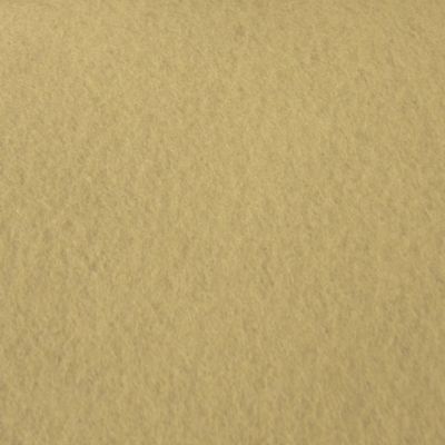 Moquette Stand Expo - Beige - Rouleau de 2m x 33m