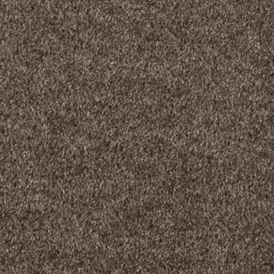 Moquette velours Re-life - Chocolat - 4m x 5m