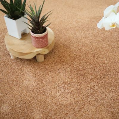 Moquette velours Re-life - Rouille terracotta - 4m x 10m