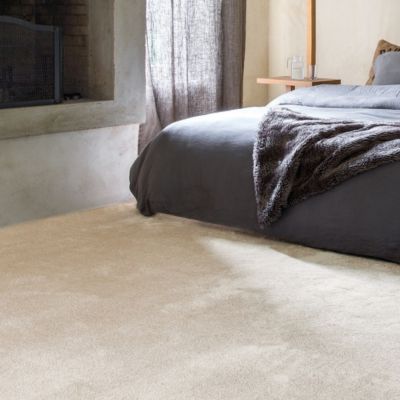 Moquette velours - Select - Ecru - 5m x 6m