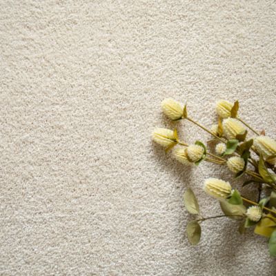 Moquette velours - Select - Ecru - 5m x 6m