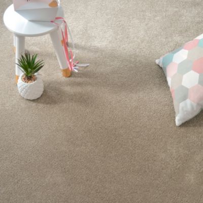 Moquette velours Select - Marron tendre - 4m x 24m