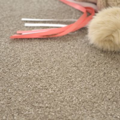 Moquette velours Select - Marron tendre - 4m x 24m