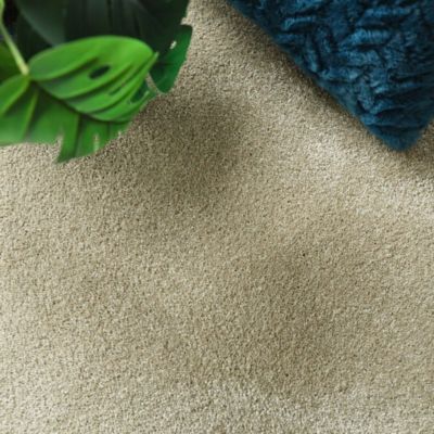 Moquette velours Select - Vert tilleul - 5m x 10m