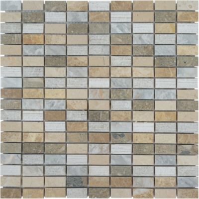 Mosaïque mur et sol Griffe multicolore 30,5 x 30,5 cm