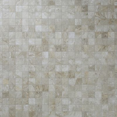 Mosaïque sol et mur beige 30 x 30 cm Shaded
