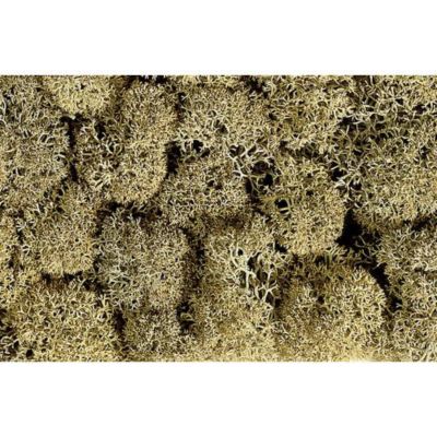 Mousse décorative gris roche NOCH 8600, 100% mousse d'Islande, 35 g