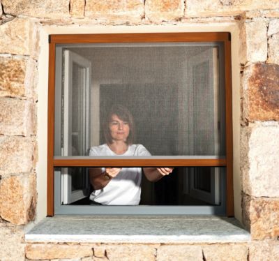 Moustiquaire de Fenêtre Enroulable - L150 x H160cm - Aluminium Chêne Dôré - Recoupable - Anti-insectes