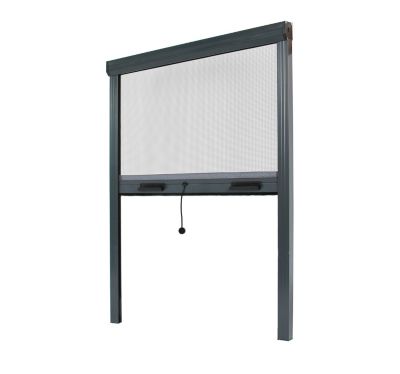 Moustiquaire Enroulable pour Fenêtre - L.100 x H.160cm Recoupable - Alu Gris Anthracite - Store Moustiquaire