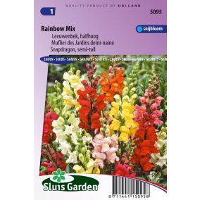 Muflier des Jardins demi-naine Rainbow mix - Graines De Fleurs Annuelles - Ca. 0,25 g