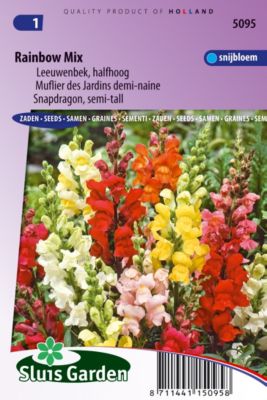 Muflier des Jardins demi-naine Rainbow mix Semences - De Fleurs Annuelles - Ca. 0,25 g