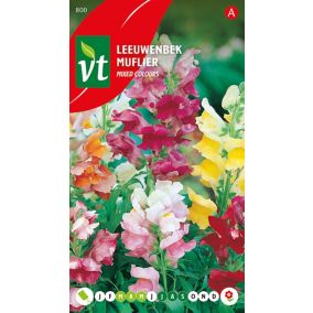 Muflier Nain - Ca. 0,4 gr   Graines de fleurs
