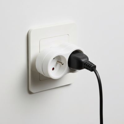 Multiprise 2 prises 16A blanc Homepower