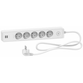 Multiprise 2 prises Diall 16A USB blanc/gris