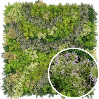 Mur végétal artificiel Mousse 1m x 1m, Long 3 m