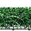 Mur végétal artificiel forêt 50x50