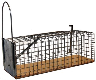 Nasse à rats monoprise avec socle en bois