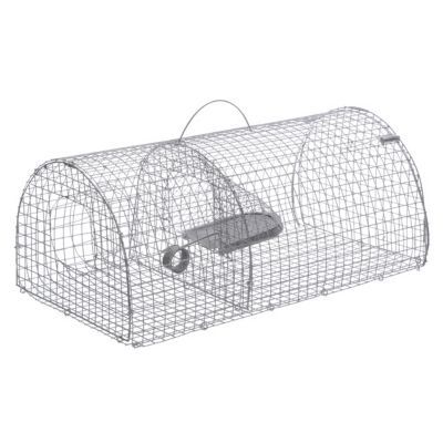 Nasse Tunnel Grillage Galva Pour Rats Castorama