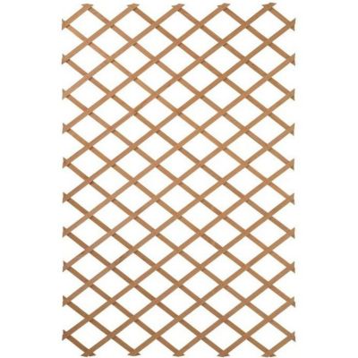 Nature Treillis de jardin 100 x 300 cm Bois Marron 419779
