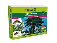 Néma-Palmier contre charançon rouge du palmier Biotop (25 millions)
