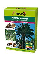 Néma-Palmier contre charançon rouge du palmier Biotop (50 millions)