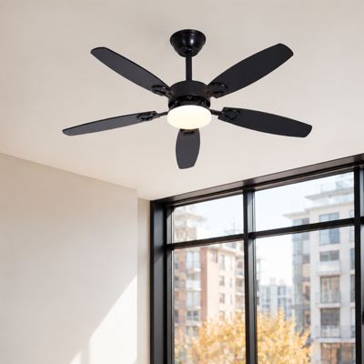 NETTLIFE Ventilateur de plafond avec éclairage LED silencieux Mode Été Hiver Intensité variable 23W Noir 125 cm