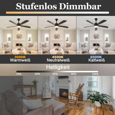 NETTLIFE Ventilateur de plafond avec éclairage LED silencieux Mode Été Hiver Intensité variable 23W Noir 125 cm