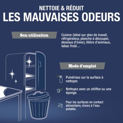 Nettoyant au bicarbonate de soude Ecocert 750ml Briochin professionnel